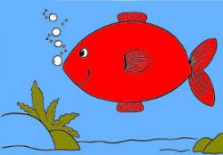 poisson.jpg poisson.jpg